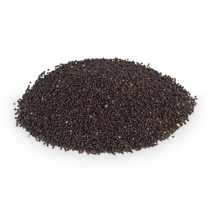 AFH Rapssamen | 5,0 kg