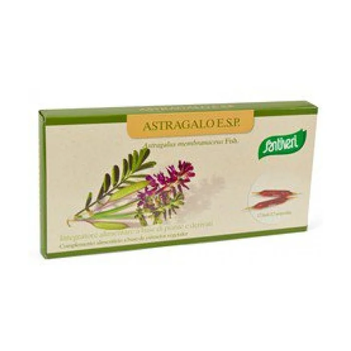 Astragalus 12 Ampullen à 5ml