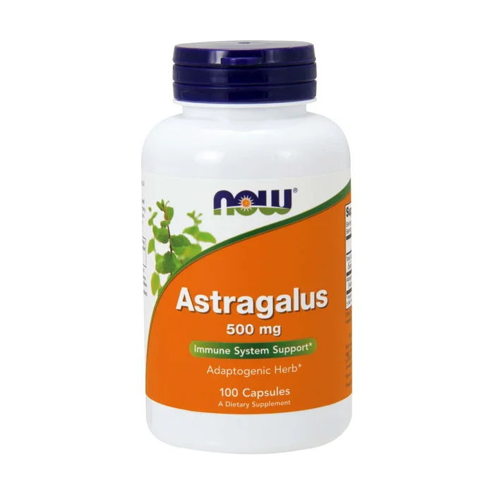 Astragalus 500 mg 100 Kapseln (500mg)