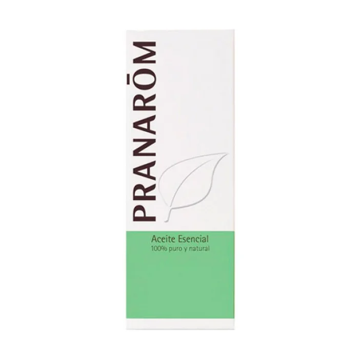 Ätherisches Dillöl 10 ml essentielles Öl