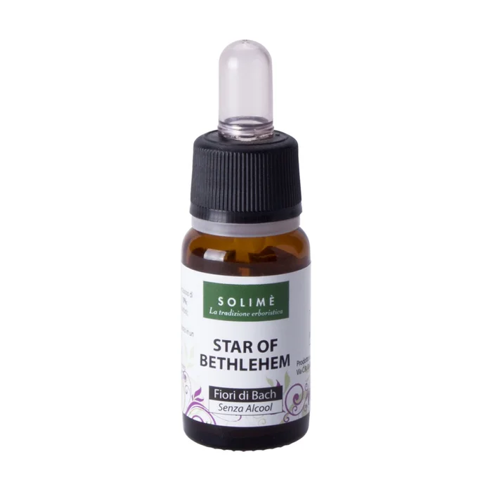 Bachblumen – Stern von Bethlehem 10 ml