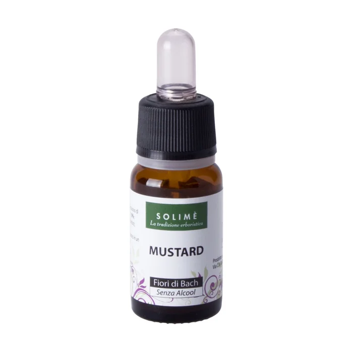 Bachblüten – Senf 10 ml