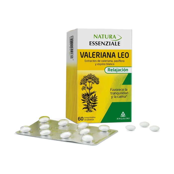 Baldrian Leo Angelini 60 Kimprimenrt