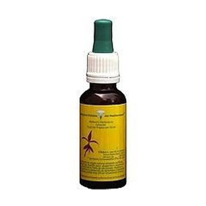Beinwell 20 ml
