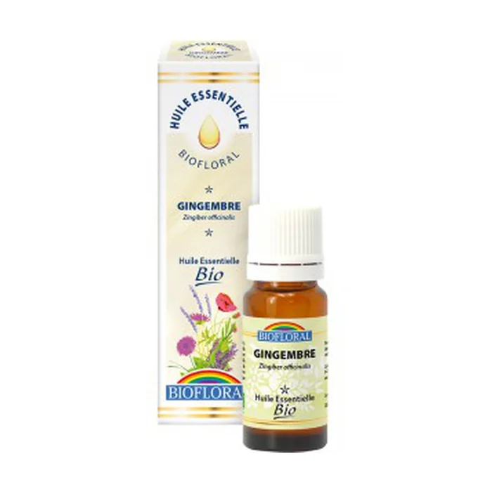 Bio ätherisches Ingweröl 10 ml essentielles Öl (Ingwer)
