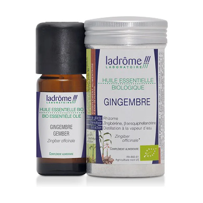 Bio ätherisches Ingweröl 10 ml essentielles Öl
