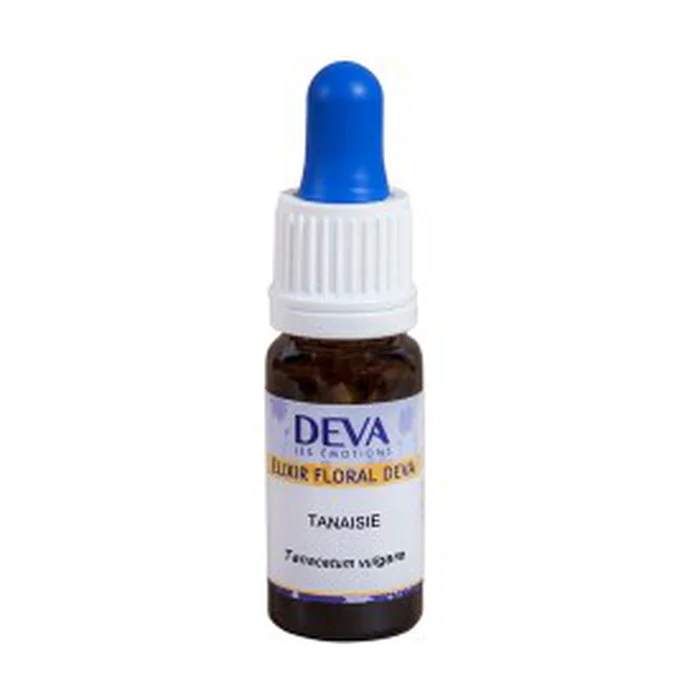Bio-Rainfarn 10 ml Blumenelixier