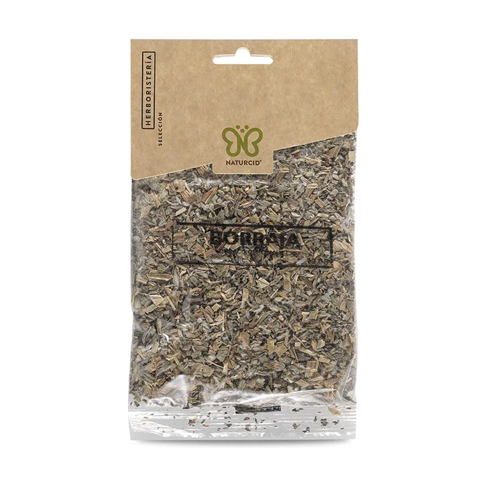 Borretsch Pflanze 40 G