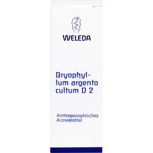 BRYOPHYLLUM ARGENTO CULTUM Dilution D 2 50 ml