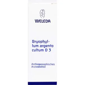 BRYOPHYLLUM ARGENTO CULTUM Dilution D 3 50 ml
