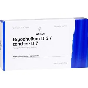 BRYOPHYLLUM D 5/CONCHAE D 7 Ampullen 8X1 ml