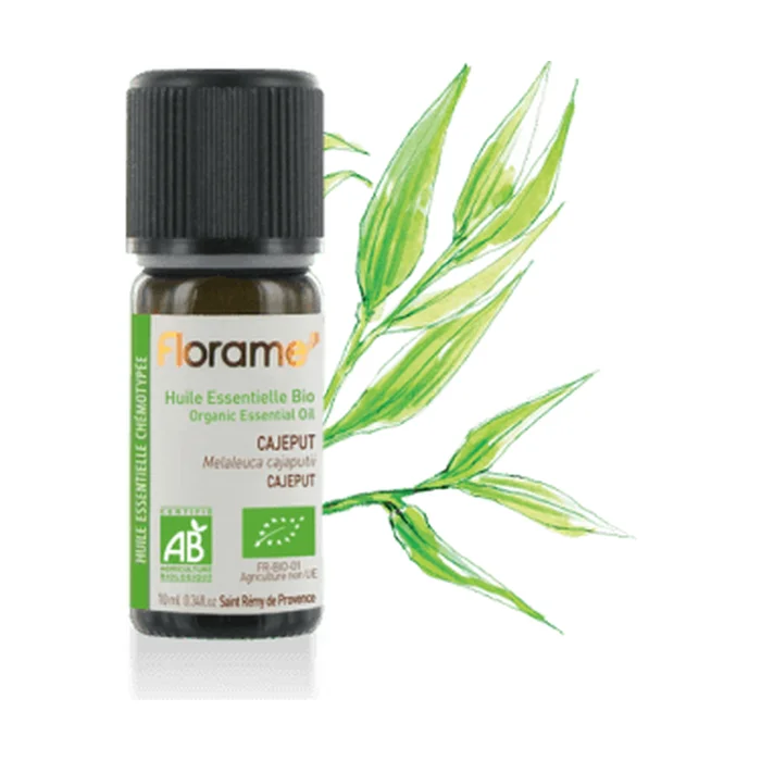 Cajeput ätherisches Öl 10 ml essentielles Öl