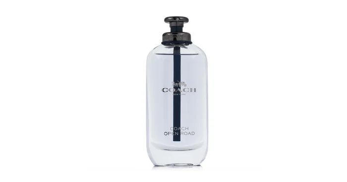 Coach Coach Open Road Eau De Toilette 100 ml (man)