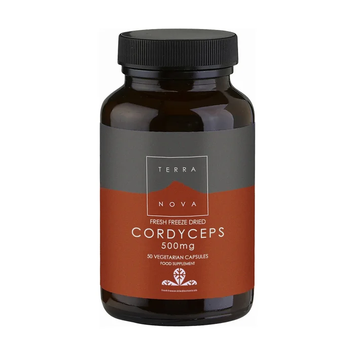 Cordyceps 50 Kapseln à 500mg