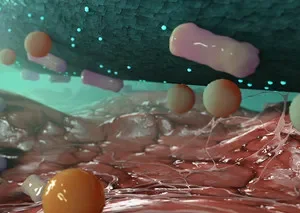 Cutimed Sorbact, Tamponade,antimikrobielle