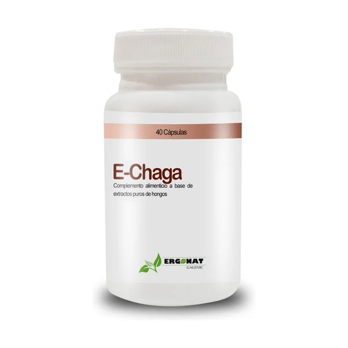 E-chaga 40 Kapseln