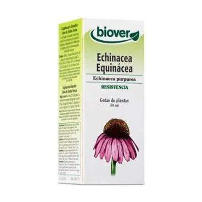 Echinacea Purpurea (Echinacea) 50 ml