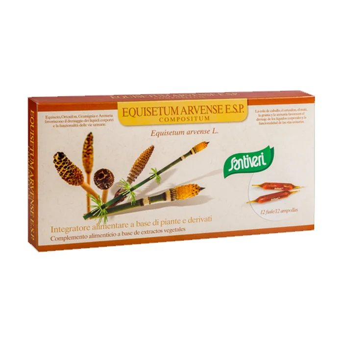 Equisetum arvense 12 Ampullen