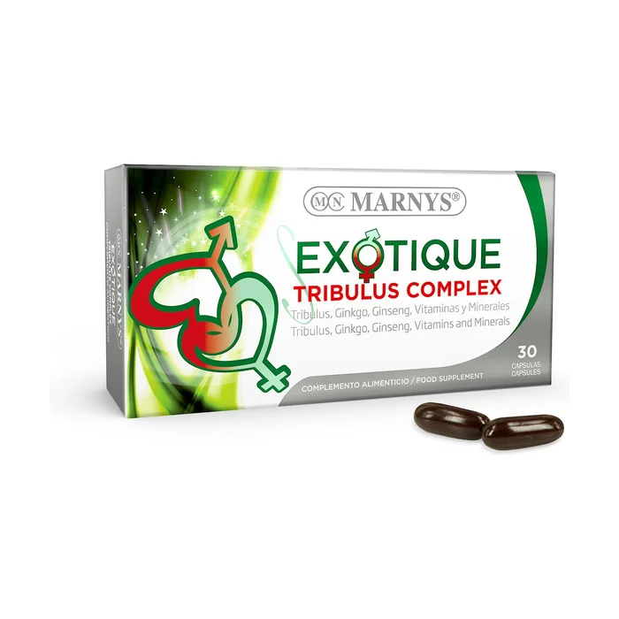 Exotischer Tribuluskomplex 30 Perlen