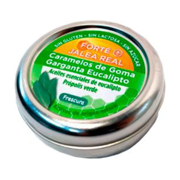 Forté Gum Eukalyptus Bonbons 45 G