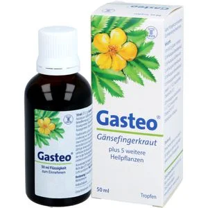 GASTEO Tropfen zum Einnehmen 50 ml