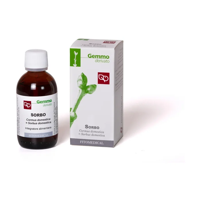 Gemoderivat von Sorbo 50 ml