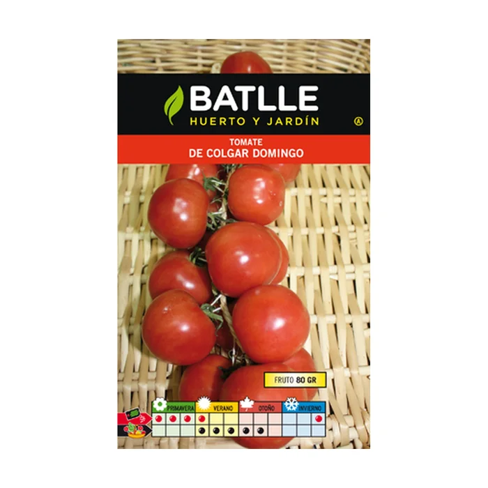 Hängende Sonntags-Tomatensamen 1 Umschläge