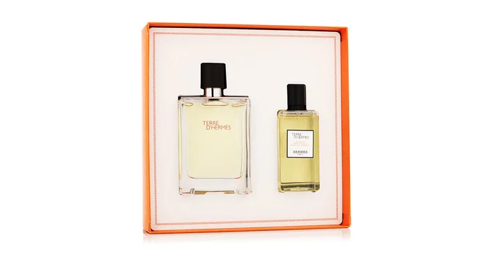 Hermès Terre D’Hermès EDT 100 ml + SG 80 ml (man)