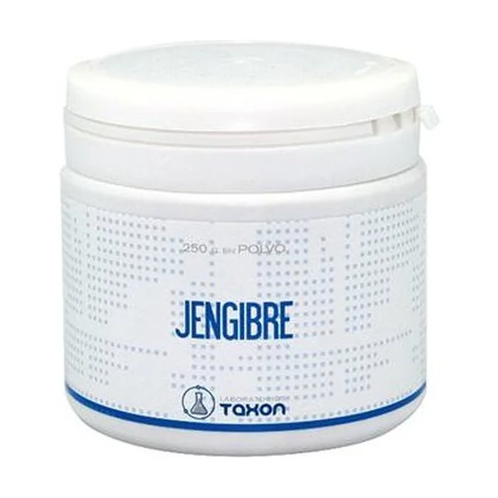 Ingwerpulver 250 G Pulver