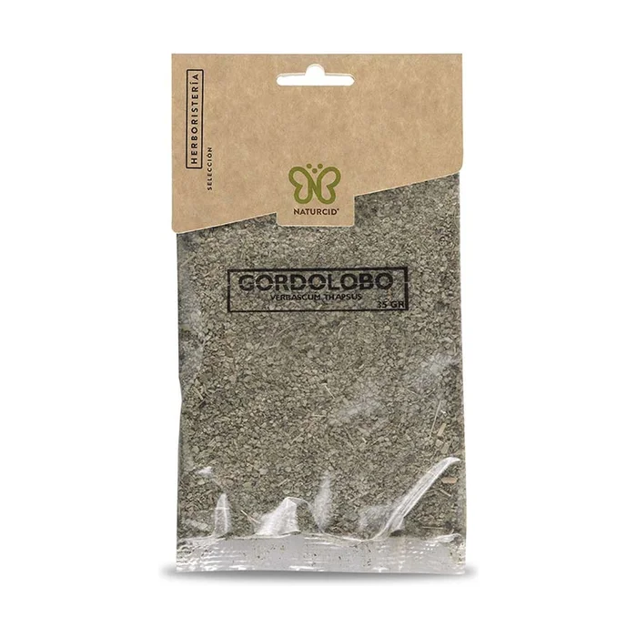 Königskerze Pflanze 25 G