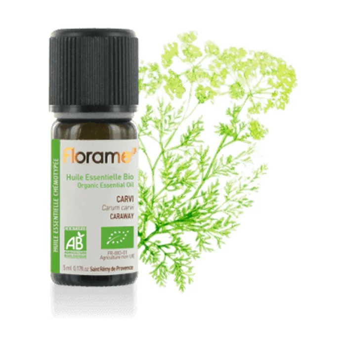 Kümmel ätherisches Öl 5 ml essentielles Öl