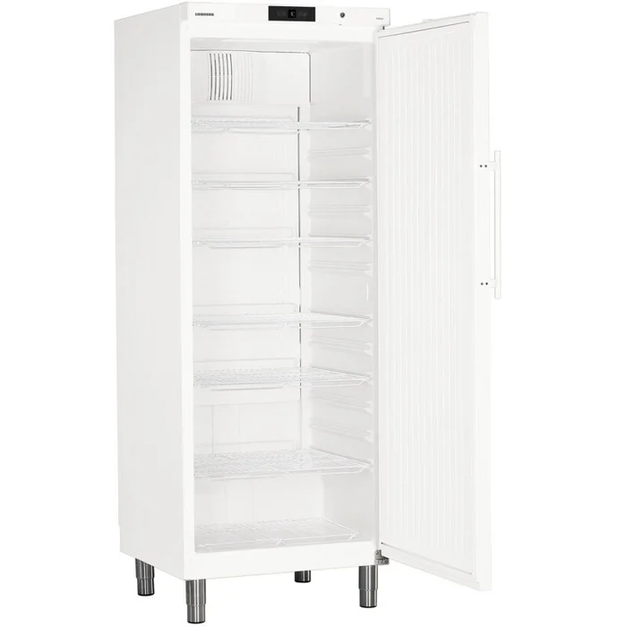 Liebherr Kühllagerschrank GKv 6410