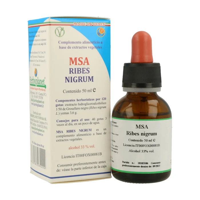Msa Ribes Nigrum Gems 50 ml