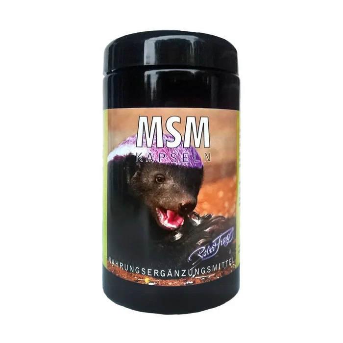 Msm 360 Kapseln à 500mg