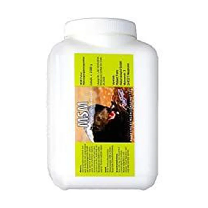 Msm Pulver 1 kg