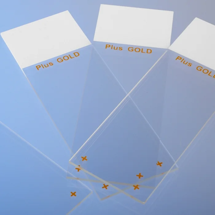 Objektträger SuperFrost Plus Gold 72 Stück