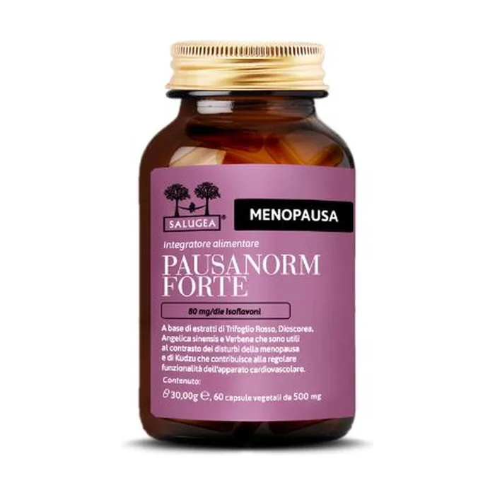 Pausenorm stark 60 Kapseln