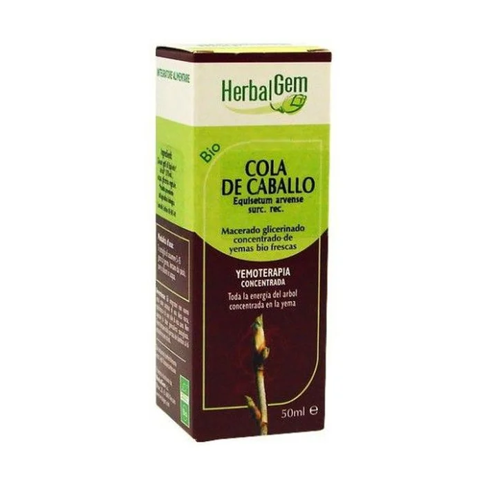 Pferdeschwanz 50 ml