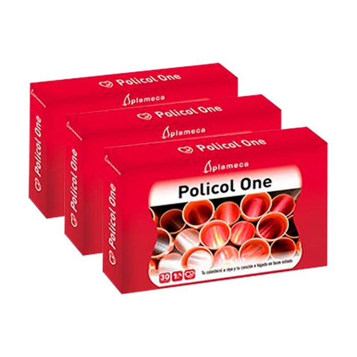 Policol One 3×30 pflanzliche Kapseln
