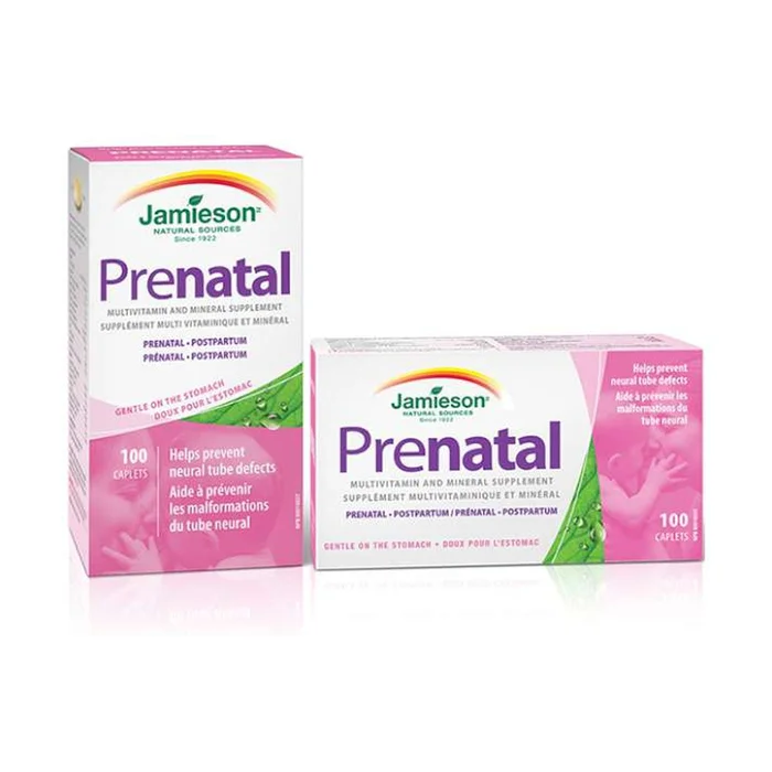 Pränatales Multivitamin 100 Kimprimenrt