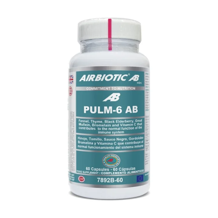 PULM-6 AB 60 Kapseln