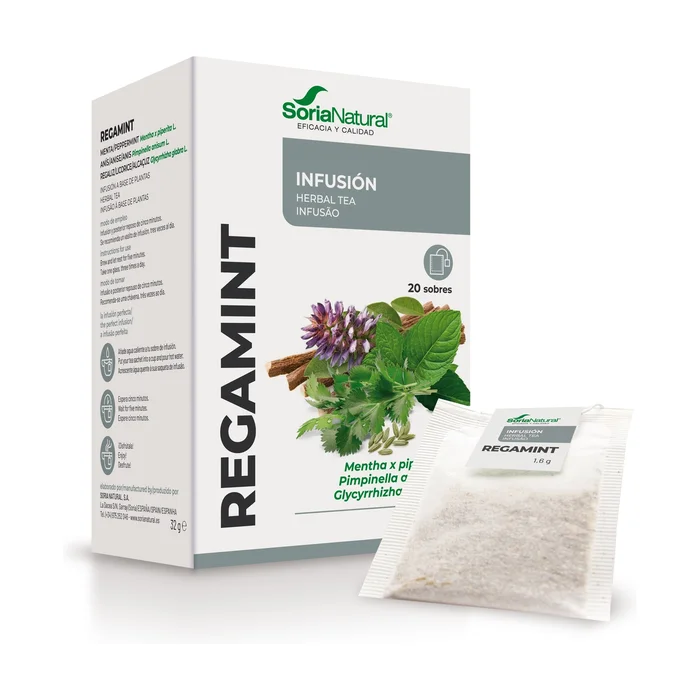 Regamint-Infusionen 20 Infusionsbeutel