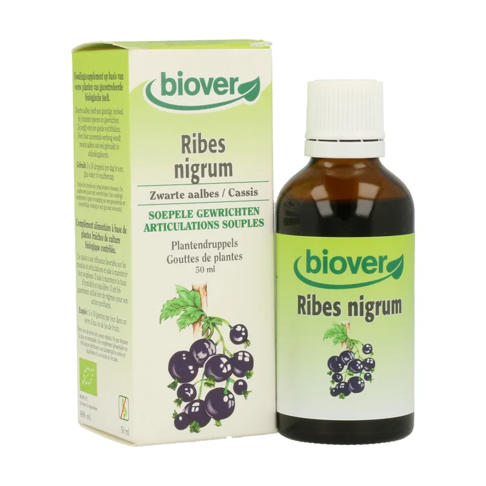 Ribes Nigrum (Schwarze Johannisbeere) 50 ml