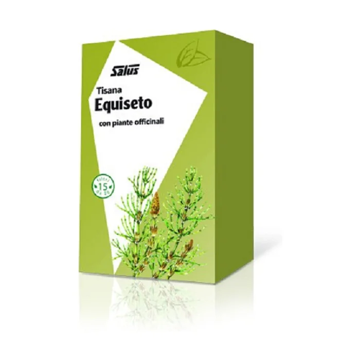 Schachtelhalm 15 Infusionsbeutel