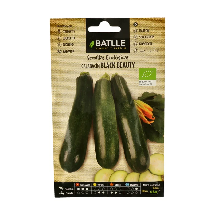 Schwarze Bellezza Zucchini Samen 1 Umschläge