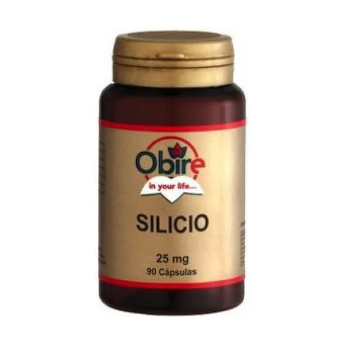 Silizium 90 Kapseln à 25mg
