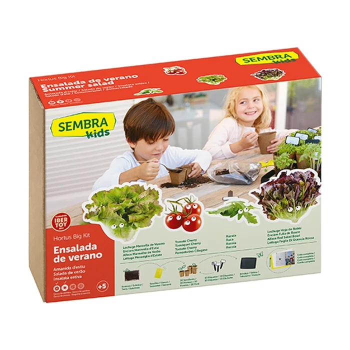 Sommersalat Samen 1 Einheit