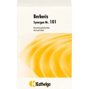 SYNERGON 101 Berberis Tabletten 200 St