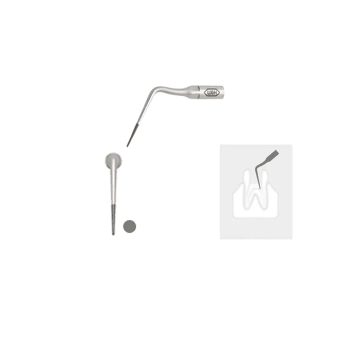 W&H Spitze Endodontie 6E