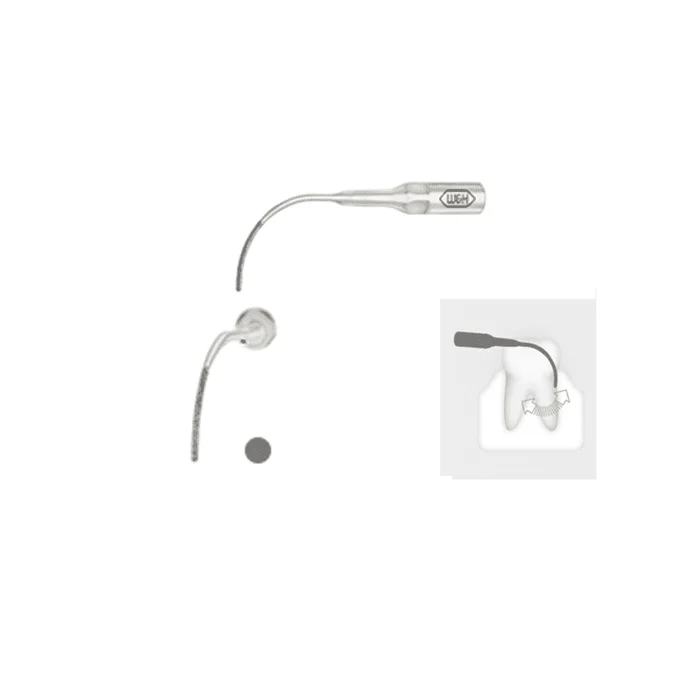 W&H Spitze Parodontologie 5Pr